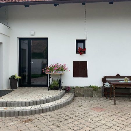 Tolarova Apartman Παρντούμπιτσε Εξωτερικό φωτογραφία